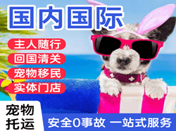 百色机场快运国际宠物托运 【国